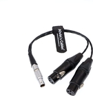 Alvin'S Cables XLR Breakout Audio Input Cable For Atomos Shogun Monitor Recorder 10 Pin To Dual XLR 3 Pin Female
